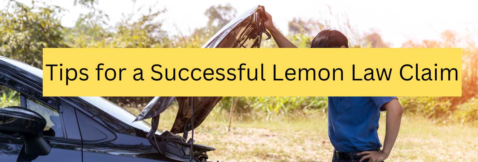 Tips for a Successful Lemon Law Claim: From Dealer Visits to Legal Representation
